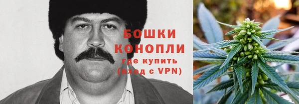 твердый Мегион