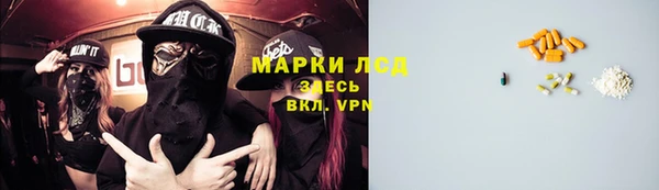 твердый Мегион
