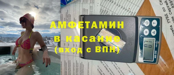 стаф Медногорск