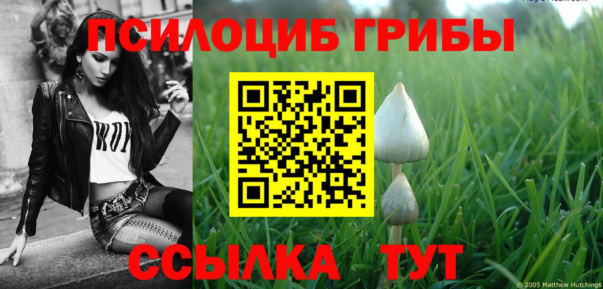 купить   Галлюциногенные грибы Psilocybine cubensis  Отрадный  Вход с VPN  Псилоцибиновые грибы ЛСД 